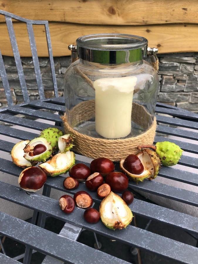 Conkers - A New Bespoke Rural Escape Near Glastonbury Zewnętrze zdjęcie