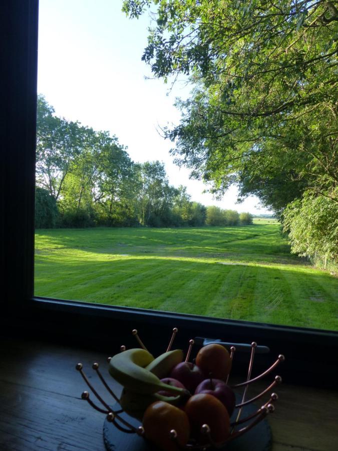Conkers - A New Bespoke Rural Escape Near Glastonbury Zewnętrze zdjęcie