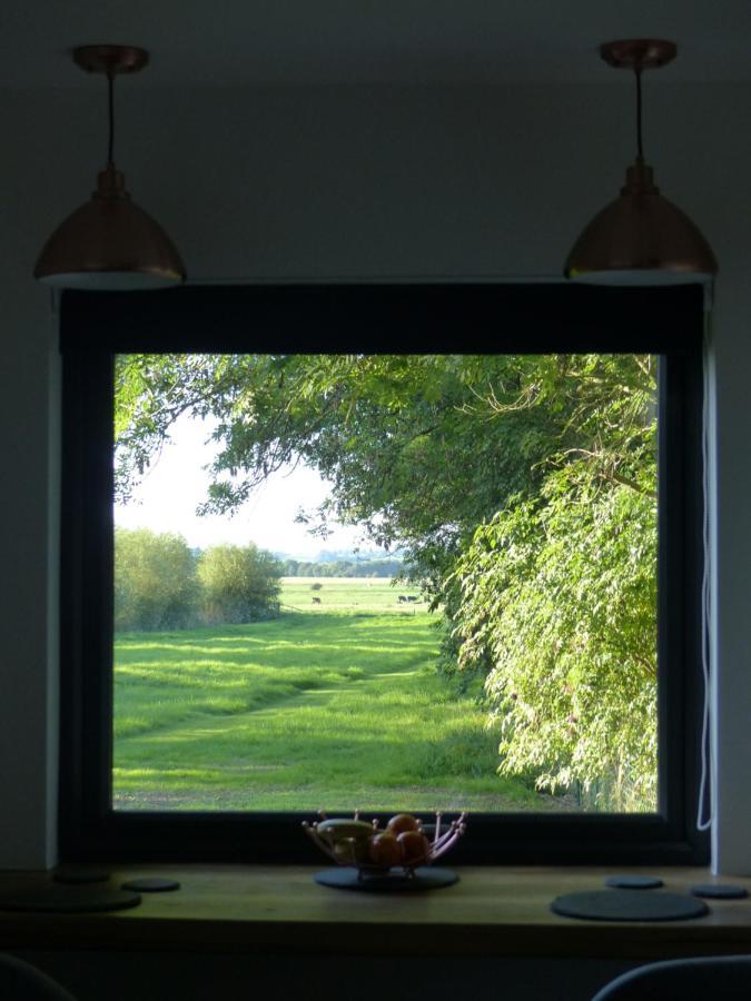 Conkers - A New Bespoke Rural Escape Near Glastonbury Zewnętrze zdjęcie